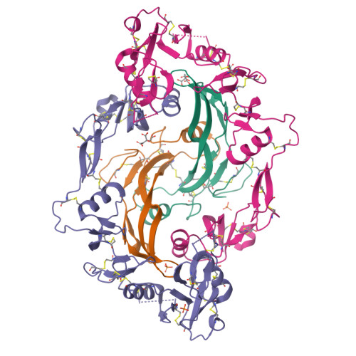 GDF-8 / Myostatin Propeptide molecular structure